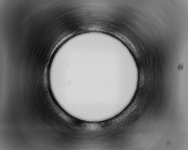 X0000103330798200810171423