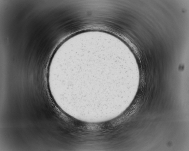 X0000103330799200810171423