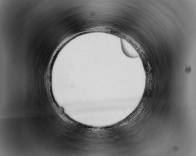 X0000103330800200810171423