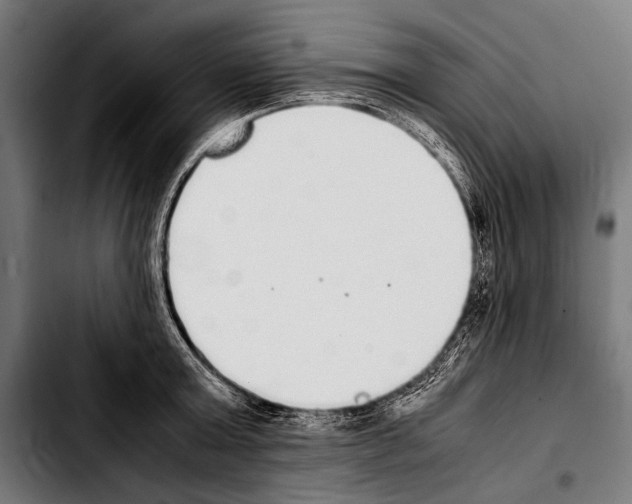 X0000103330803200810171423