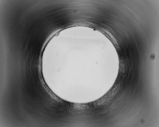 X0000103330804200810171423