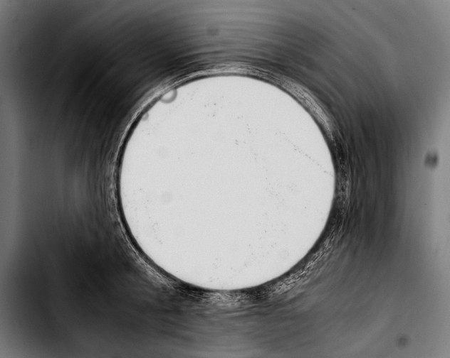 X0000103330805200810171423