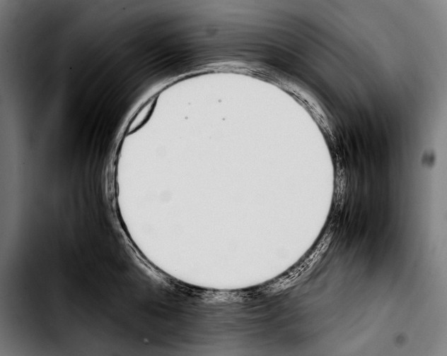 X0000103330808200810171423