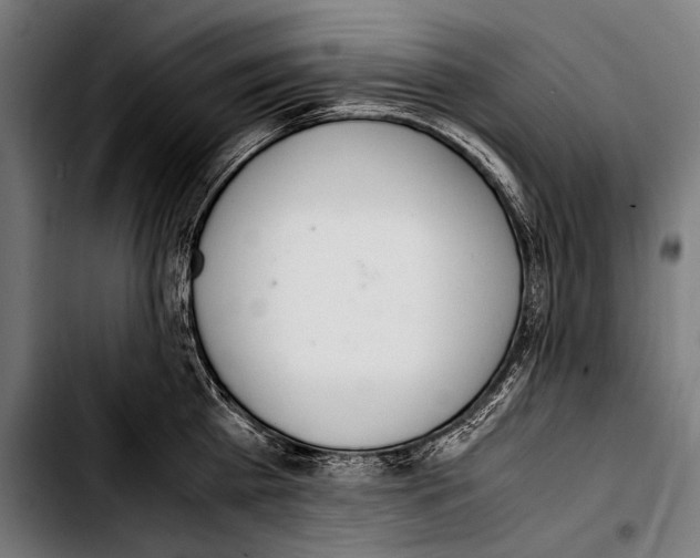 X0000103330809200810171423