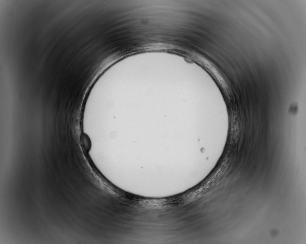 X0000103330810200810171423