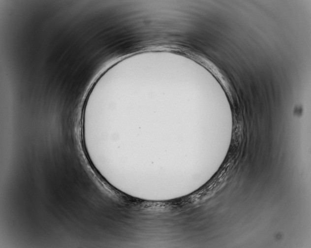 X0000103330811200810171422