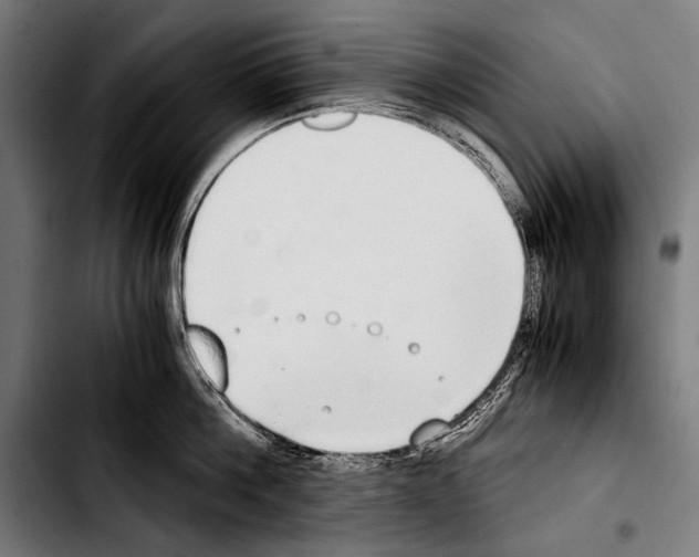 X0000103330812200810171422