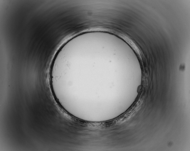 X0000103330813200810171422