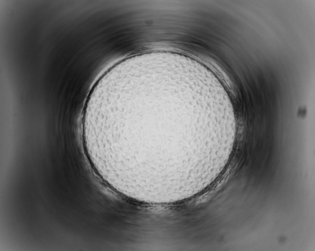 X0000103330814200810171422