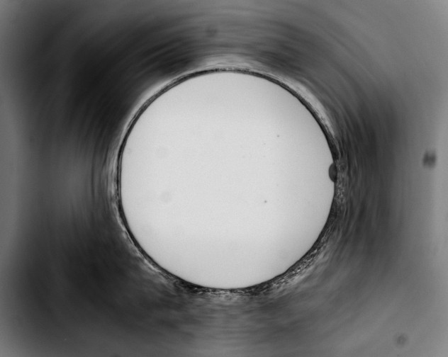 X0000103330815200810171422