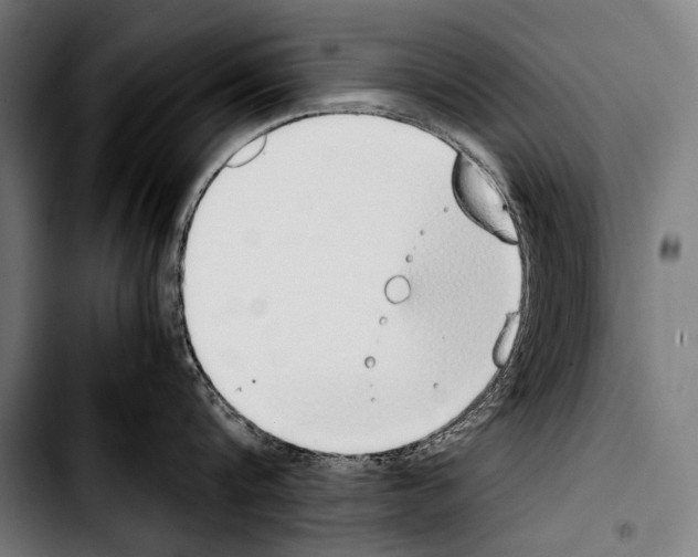 X0000103330816200810171422