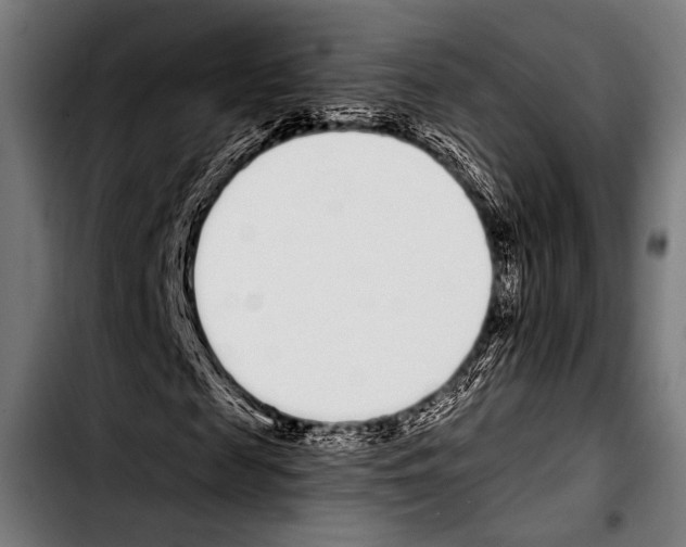 X0000103330817200810171422