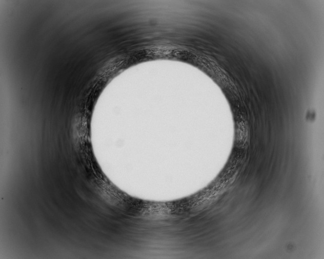 X0000103330820200810171422