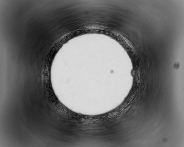 X0000103330821200810171422