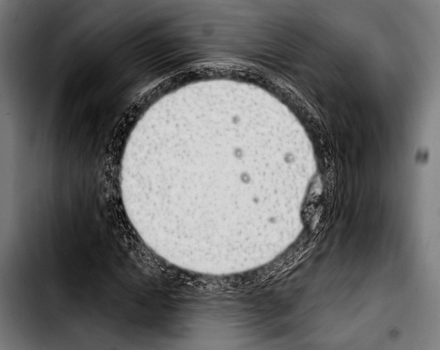 X0000103330822200810171422