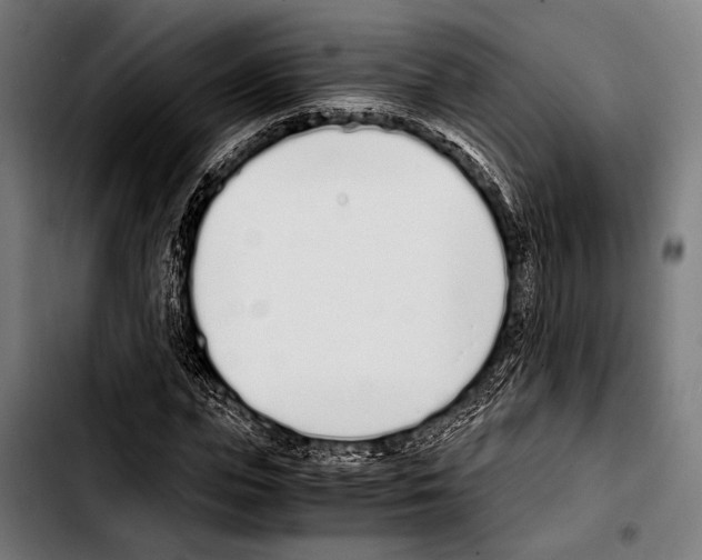 X0000103330823200810171422