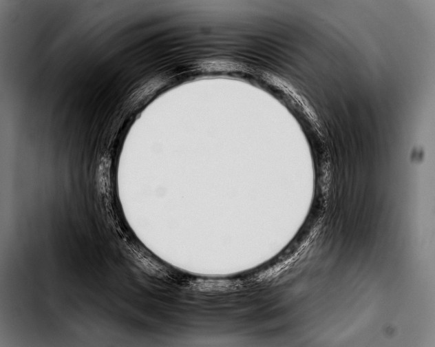 X0000103330825200810171422