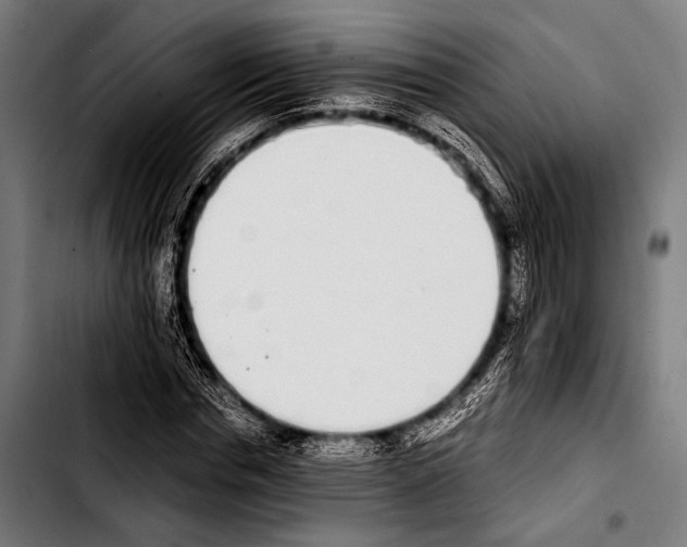 X0000103330826200810171422