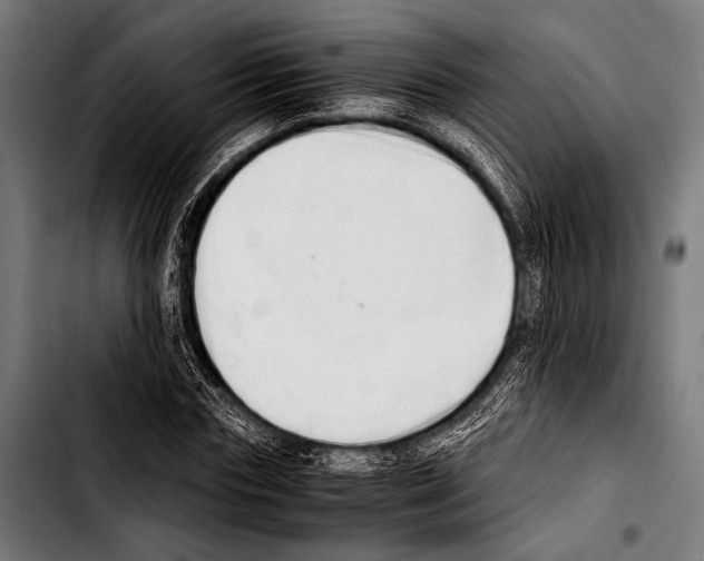 X0000103330827200810171422