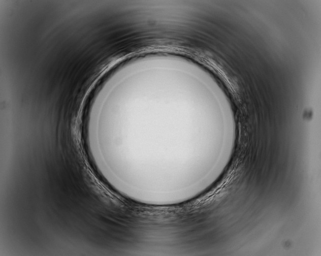 X0000103330828200810171422