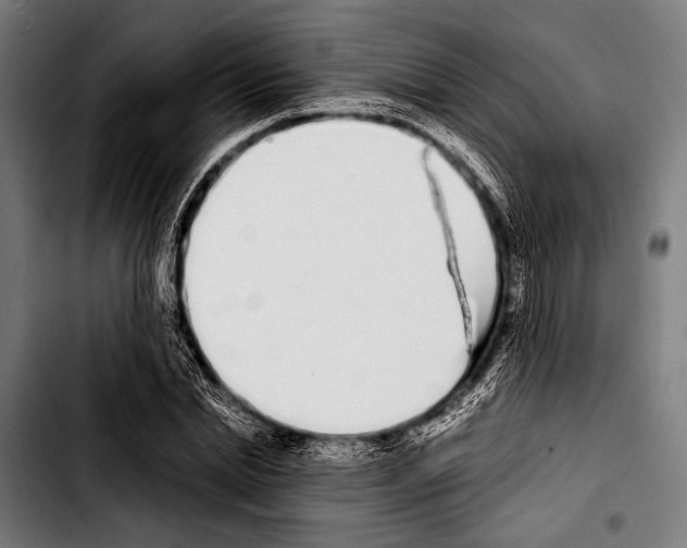 X0000103330830200810171422