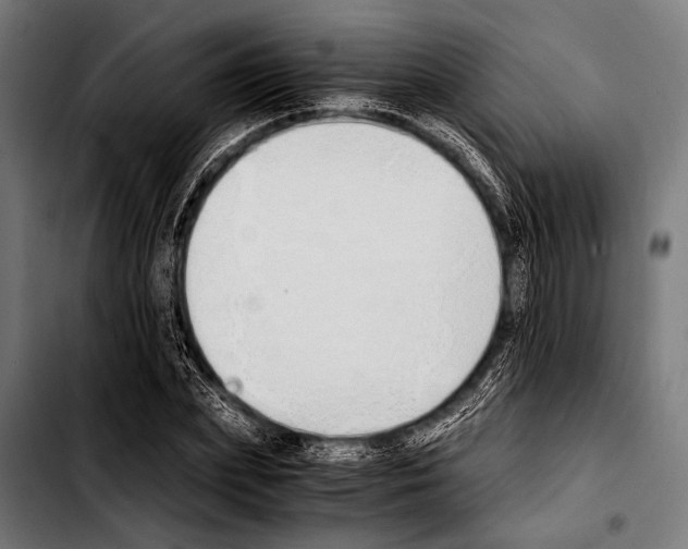 X0000103330831200810171422