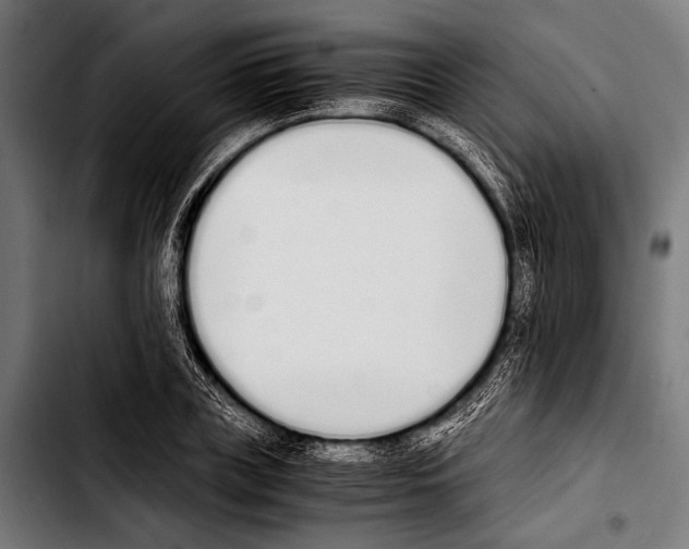 X0000103330835200810171422