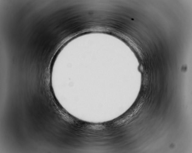 X0000103330837200810171422