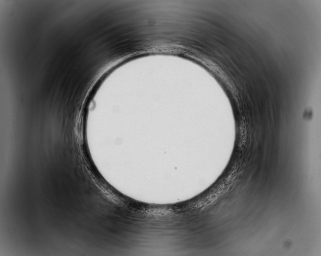 X0000103330838200810171422