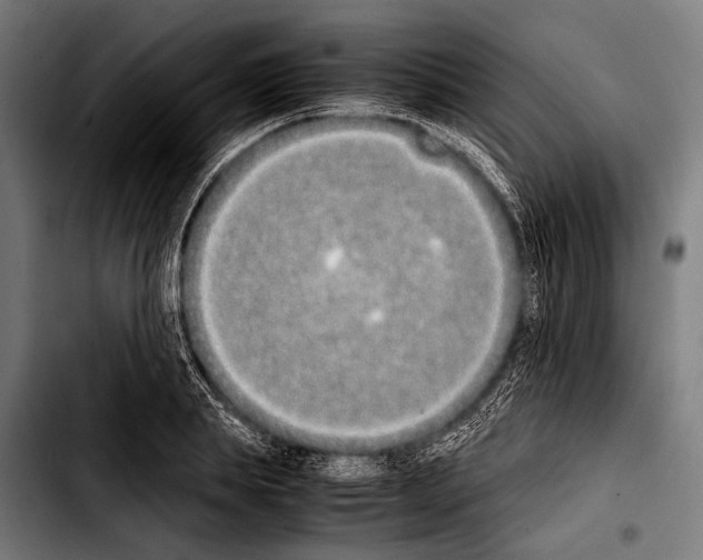 X0000103330839200810171422