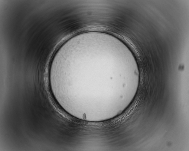 X0000103330840200810171422