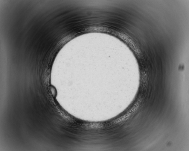 X0000103330841200810171422