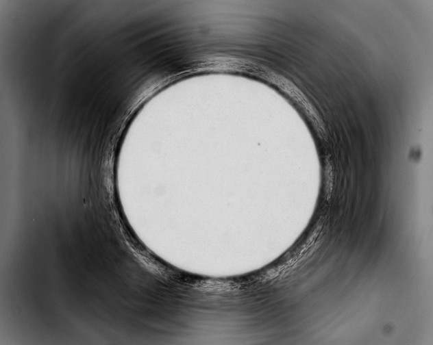 X0000103330842200810171422