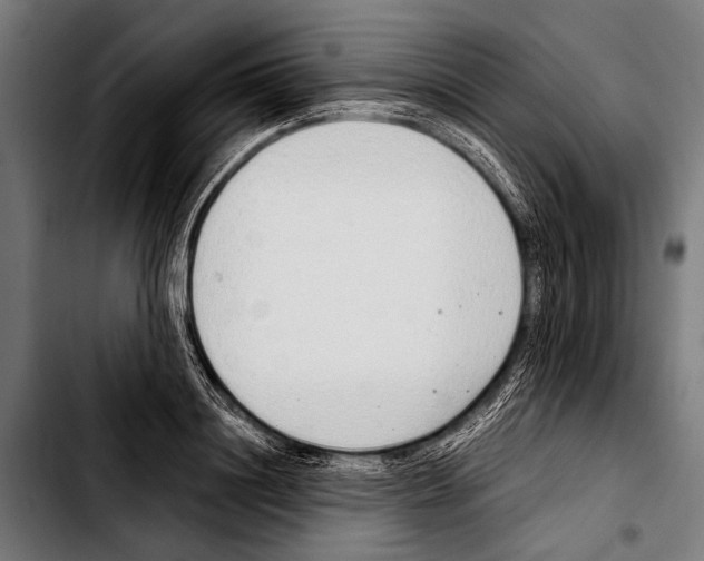 X0000103330844200810171422