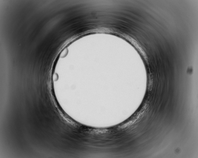 X0000103330845200810171422