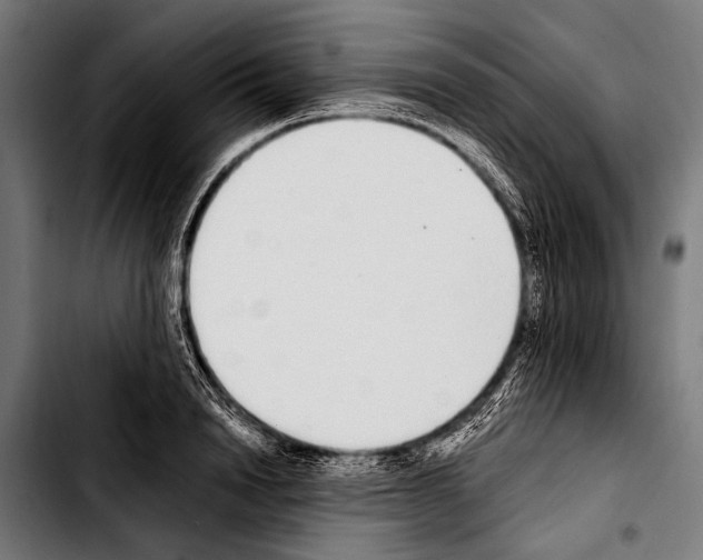 X0000103330846200810171422