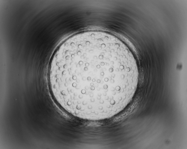 X0000103330847200810171422