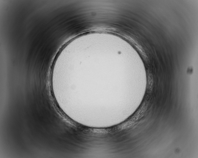 X0000103330848200810171422