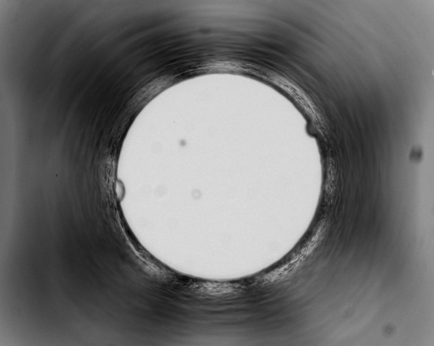 X0000103330849200810171422