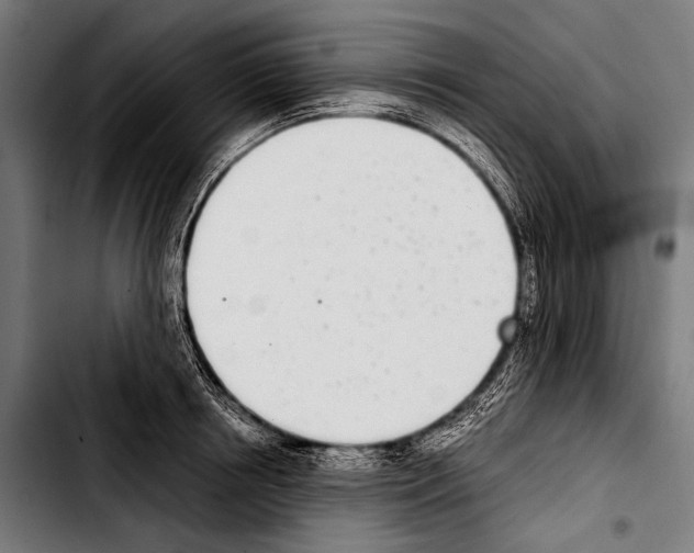 X0000103330850200810171422