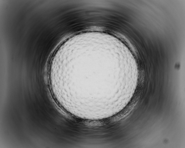 X0000103330851200810171422