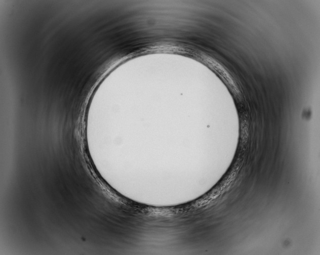 X0000103330852200810171422