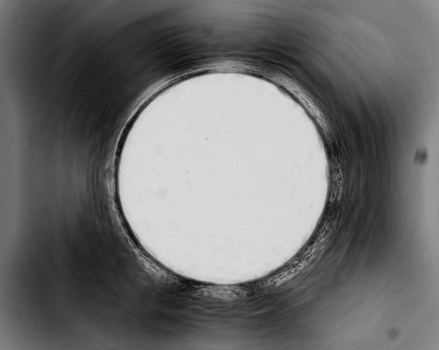 X0000103330853200810171422