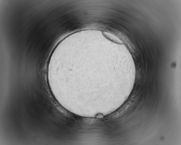 X0000103330854200810171422