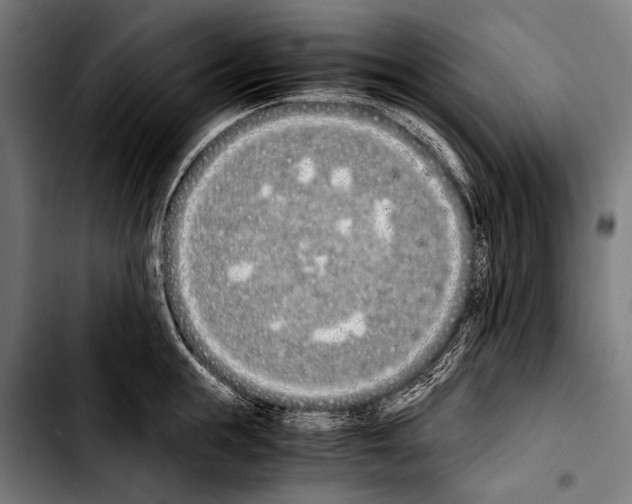 X0000103330855200810171422