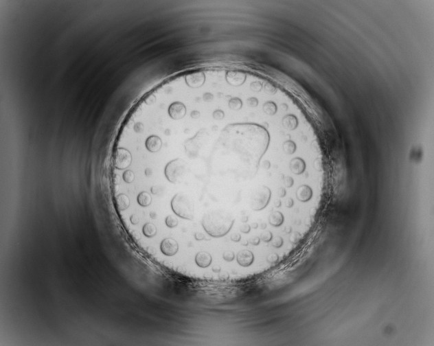 X0000103330856200810171422