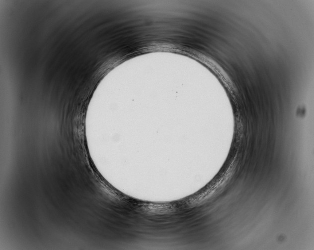 X0000103330857200810171422