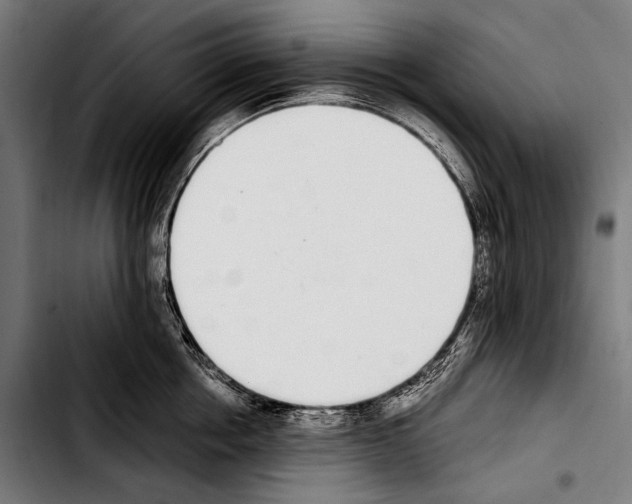 X0000103330858200810171422