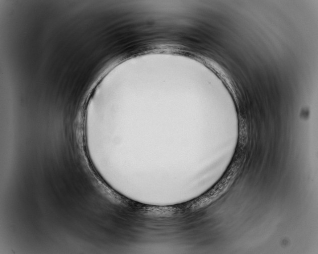 X0000103330859200810171422