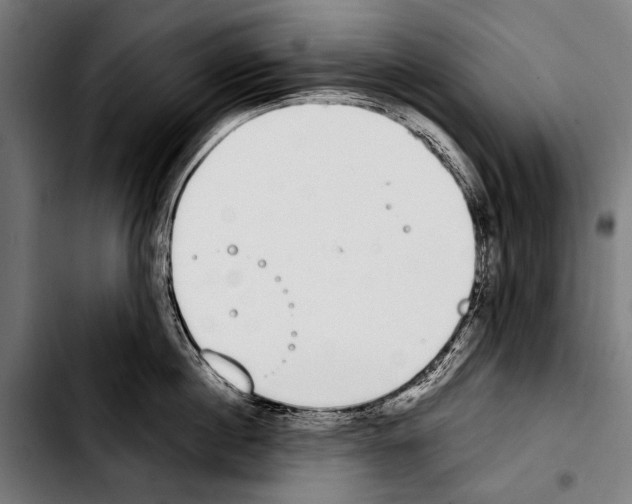 X0000103330860200810171422